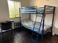 Bed in 4-Bed Mixed Dormitory Room