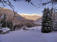 Appartement 1 Chambre