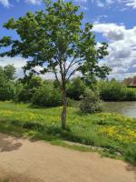 GÎTE D’EMMA - Bed and Breakfast Meyenheim