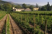 La Foresteria Serego Alighieri - B&B Sant'Ambrogio di Valpolicella