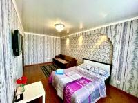 B&B Pawlodar - Apartments on Kuban 63 - Bed and Breakfast Pawlodar