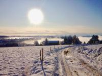 Casa con 4 camere da letto