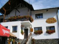 Vila Vitalis - B&B Predeal