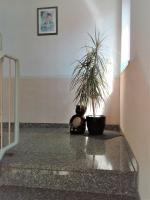 Ferienwohnung Jungbär - Die Wohlfühl-Adresse im Stangenwald - B&B Sankt Ingbert