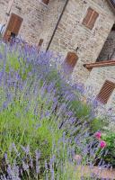 Podere Verdi Colline - B&B Poppi