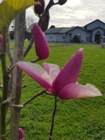 Bruntwoodlodge - B&B