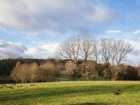 Pineapple Spa Cottage - B&B Stow on the Wold