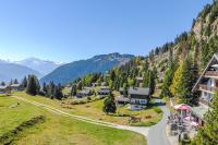 Adler 30 - B&B Riederalp