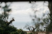 Pescoluse Houses - B&B Marina di Pescoluse