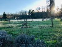 Gîte de l’écuyer - Ferienwohnung Eygurande-et-Gardedeuil