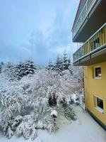 Maier Pension - Bed and Breakfast Bayerisch Eisenstein