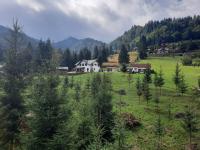 Cabana Busuioc - B&B Colibița