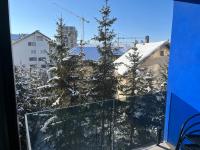 Lux apartman Zlatibor - Ferienwohnung Zlatibor