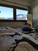 Appartamento Monolocale