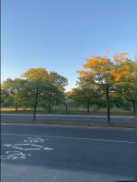 Heaven Is A Place On Earth - B&B Montreal