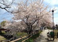 Japanese-Style Twin Room with Shared Bathroom