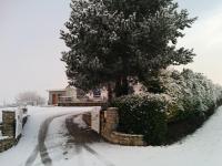 Appartement - Au Vieux Moulin - B&B Leulinghen-Bernes