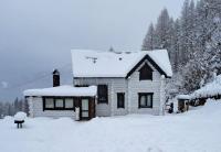 Mountain White House гостинний двір - Ferienwohnung Mykulychyn