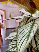 Moderne Ferienwohnung Seeblick - B&B Freudenberg