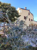 Apartment Olga Rovinj - B&B Rovigno