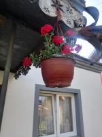 Etno Kuca Badejevic - B&B