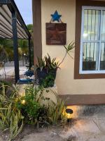 Casa Ibiza Celestun - B&B Celestún