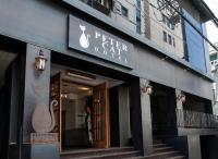 Petercat Hotel Shinchon