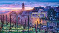 Remparts de Riquewihr - Le Renard & les Raisins - Chambres d’hôtes