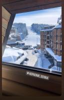 Angella Kopaonik - B&B Kopaonik