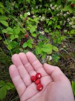 Superior Cottage with Fjord View