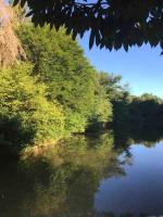 Ancient Mill with Beautiful Lake and Streams - B&B Les Riffes