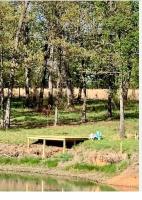 Country Suite Apartment near Lake Fork with Stocked Pond and Walking Trails - Bed and Breakfast Emory