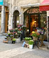 Les 3 arches - Grenoble - B&B Grenoble