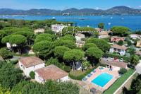 Ombre des pins à Saint Tropez XIX - B&B