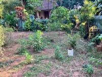 Ashpil House Guest House Margao South Goa - Bed and Breakfast Navelim