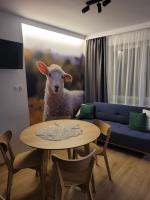 Familienzimmer mit eigenem Bad