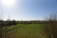 Reiterhof Gründeich - Chambres d’hôtes Holtgast