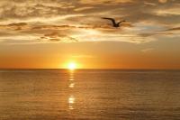 Charming 2 Bed South End Beachfront Condo at Popular Seawinds - Bed and Breakfast Marco Island