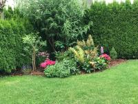 Appartement Gernot - B&B