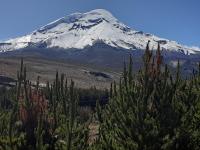 Hospedaje Chimborazo