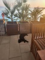 Lavica Bellevue apartments & studios - B&B