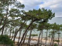 CHEZ CED - Gujan-Mestras / Bassin d'Arcachon - B&B