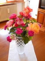 Casa Giardino fiorito - B&B San Siro