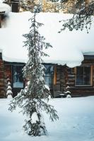 Economy Lomailevi - Chambres d’hôtes Levi