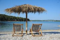 Apartment Branka - B&B