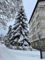 Apartament u Maliny - B&B