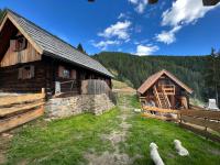 Glanzerhütte - Ferienwohnung