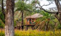 B&B Sanyang - Mansa Musso Treehouse Resort - Bed and Breakfast Sanyang