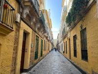 Patiovecino Apartment Centro de Cádiz - Bed and Breakfast