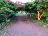 Casa Verde Vacation Garden Home - B&B El Progreso